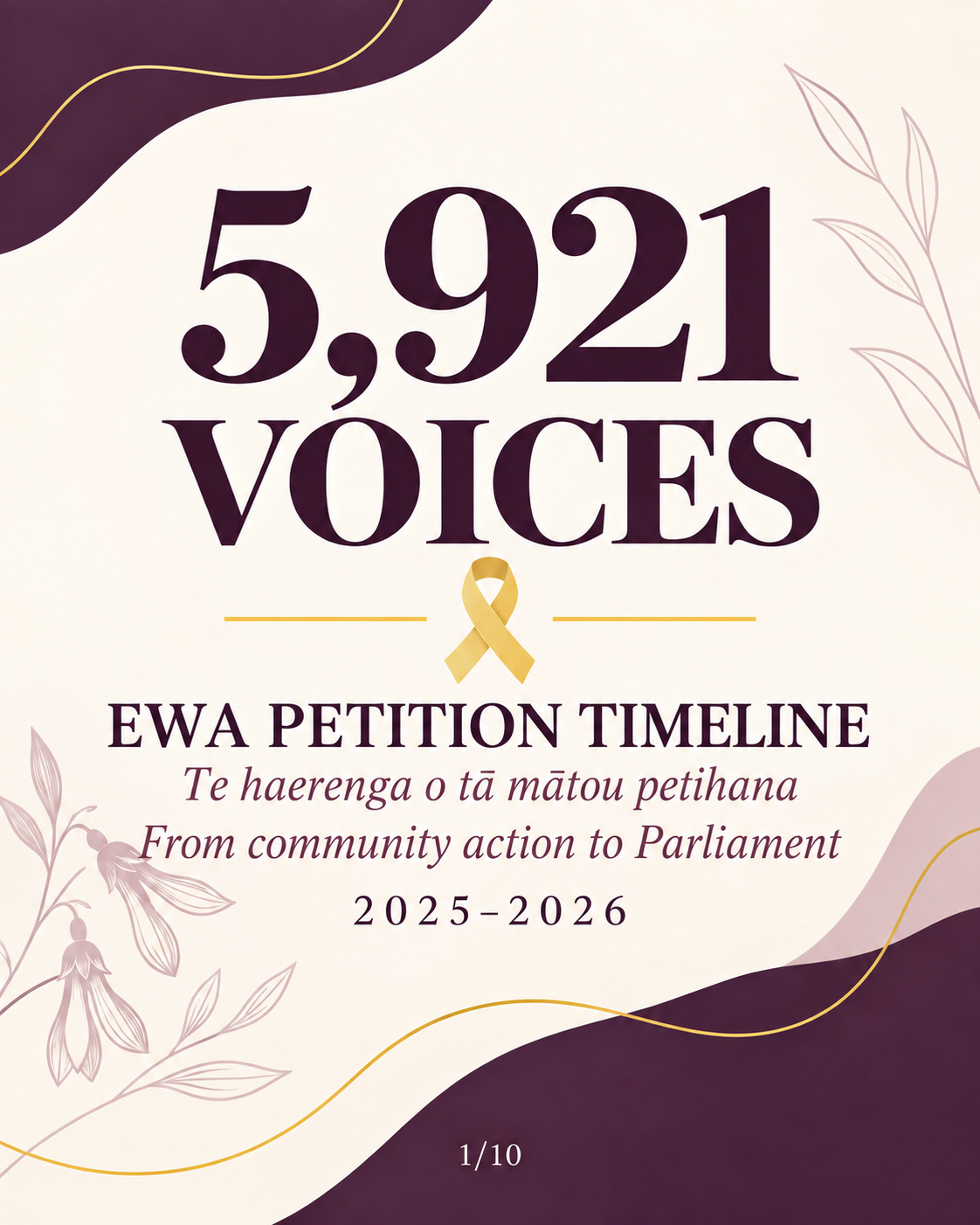 Endo Warriors Aotearoa petition journey.
